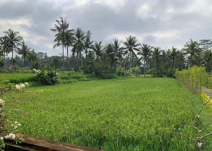 Adi Laxmi * Ubud (Bali)