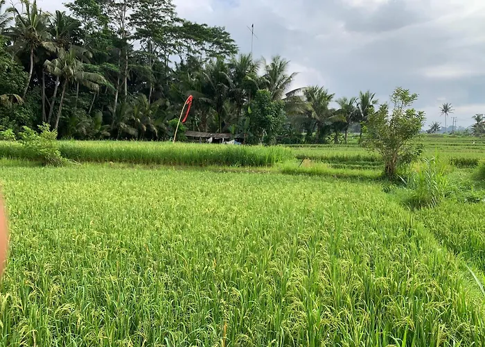 Adi Laxmi * Ubud (Bali)