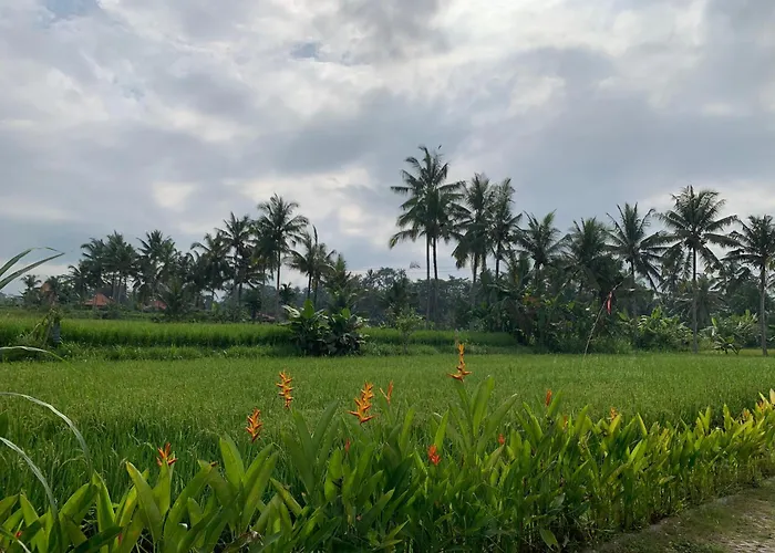 Adi Laxmi * Ubud (Bali)